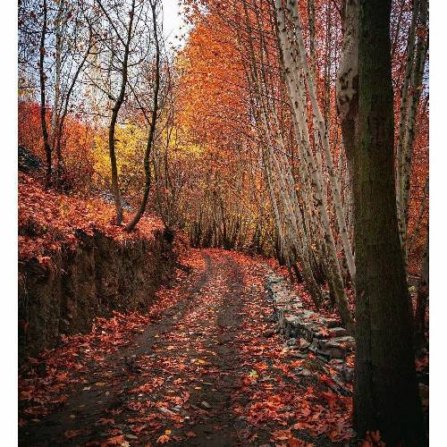  دلم گمشده پیداش میکنم من اگه عاشقته وای به حالش رسواش میکنم من